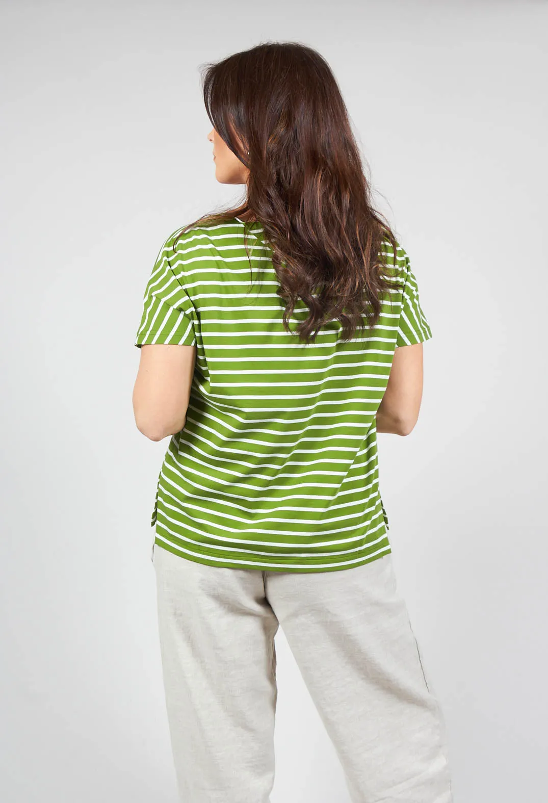 Ibisco R Stripe T-Shirt in Avocado