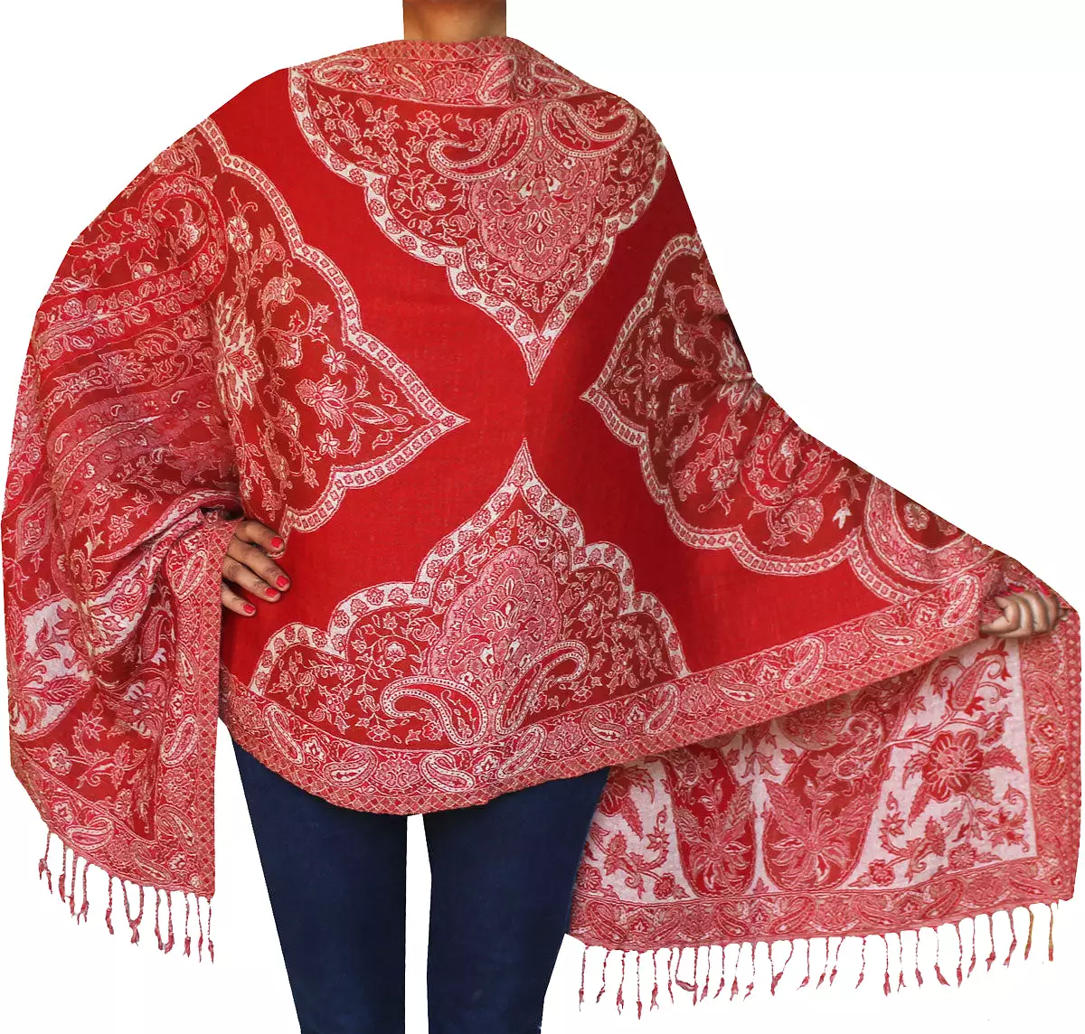 Jamawar Boiled Wool Shawl Scarf Womens Wrap India Clothing (76 x 28 inches)