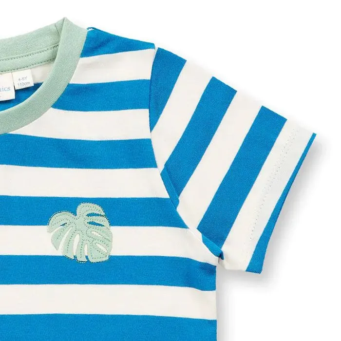 Sense Organics Blue Stripe Ibon T-Shirt