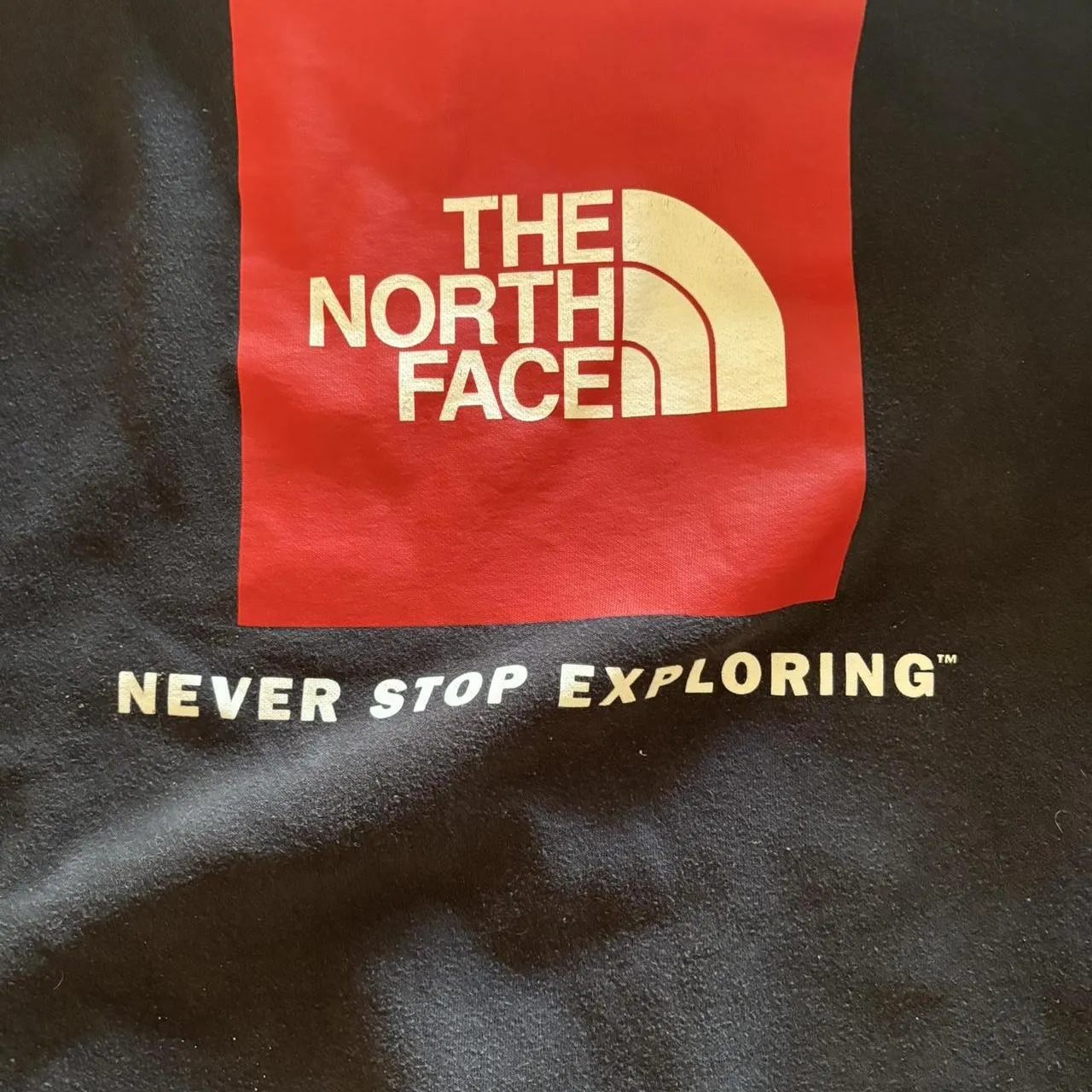 The North Face Men's Black Hoodie